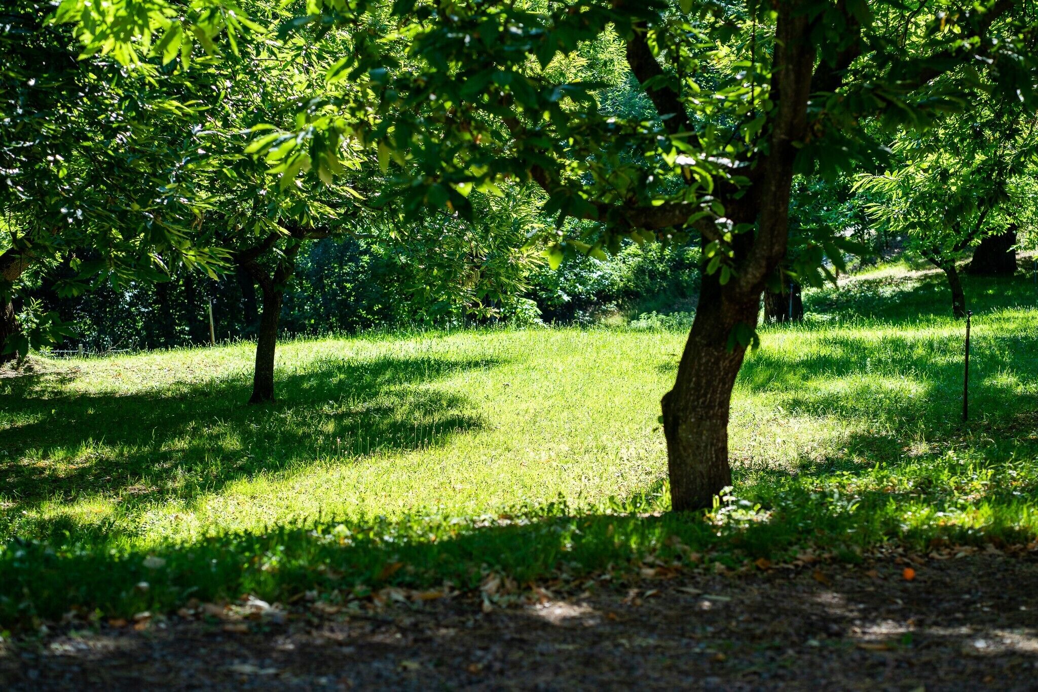 Parco della struttura