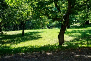 Property grounds - Bed and Breakfast 'I Maroneri - Camera Sambuco' with Mountain View, Shared Terrace and Wi-Fi (Drena)