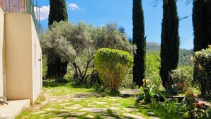 Un sentier de jardin bordé de dalles de pierre et de gazon, entouré d’arbres et d’arbustes.