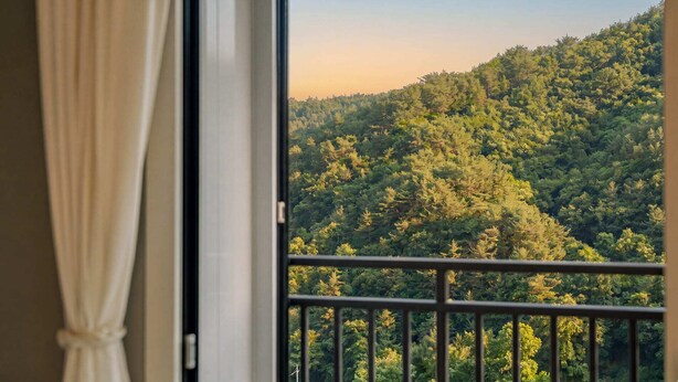 A room with a view of a dense forested hillside. - Sara&forest Pension Mungyeong (Mungyeong)