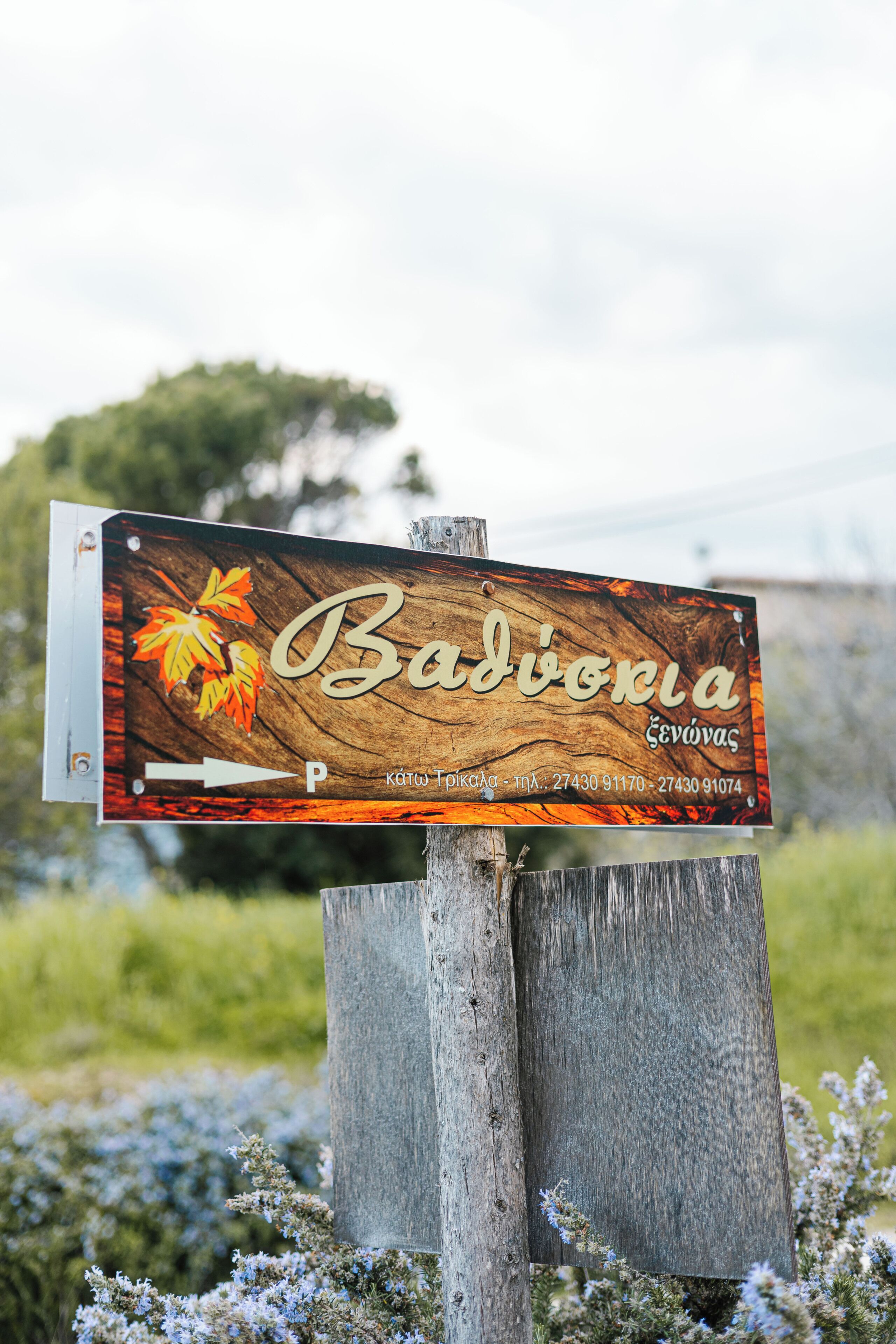 A wooden sign with the name 'Badionica' and contact information.