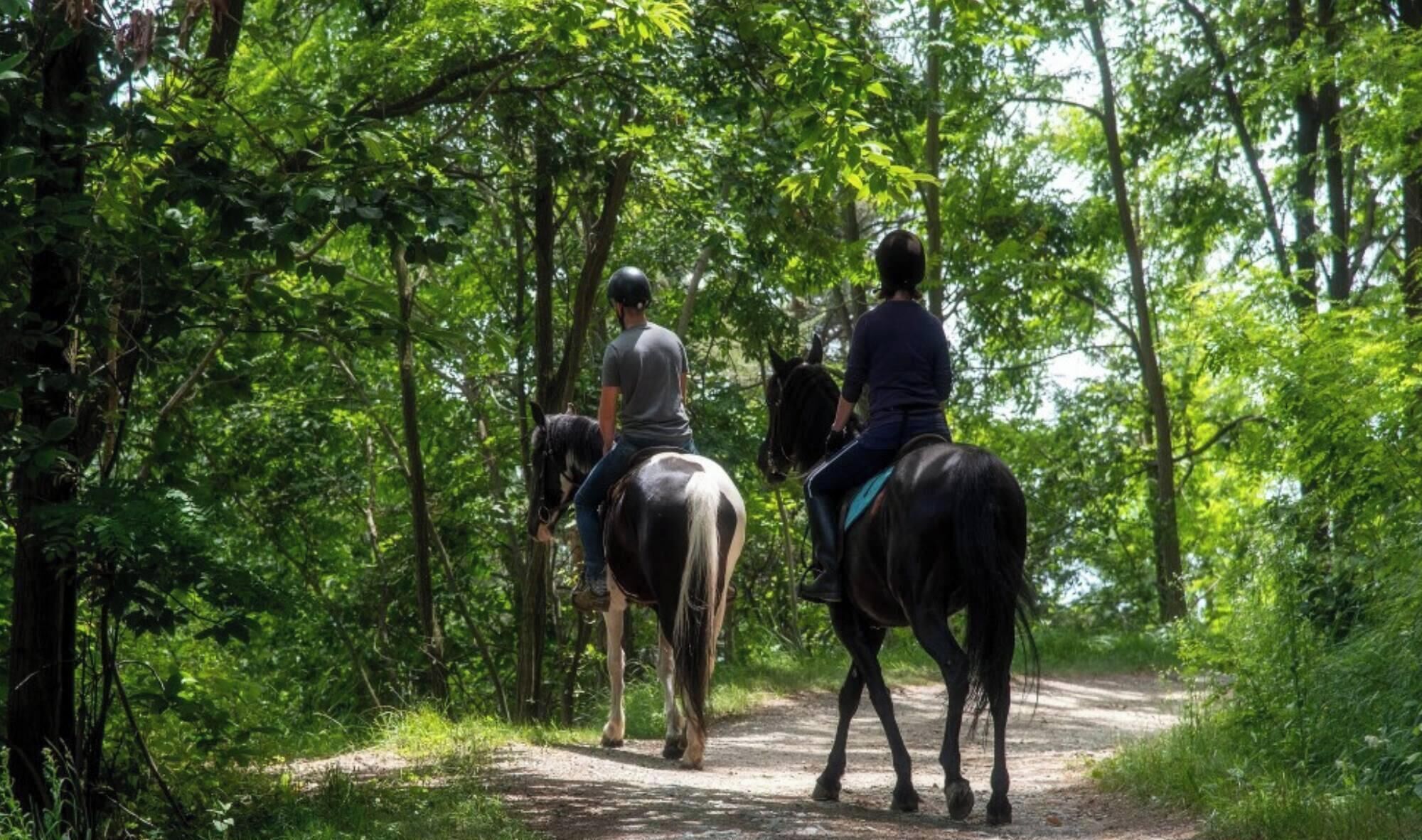 Dos personas montando a caballo por un sendero de tierra rodeado de densa vegetación verde.