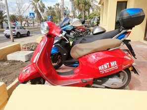 Property grounds - algherohorizon (Alghero)