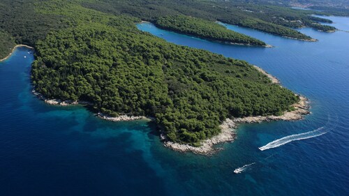 Villa Rab Paradise pool by Villas Guide