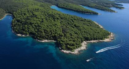 Villa Rab Paradise pool by Villas Guide