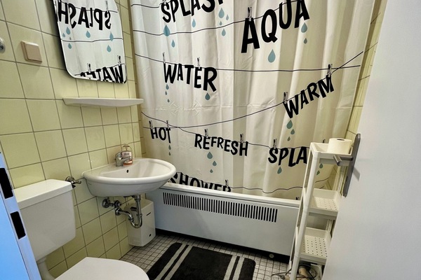 Séchoir à cheveux, savon, papier de toilette