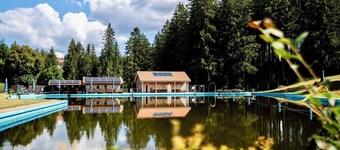 Kuckucksnest - indoor pool, sauna, mountain views, ski access (renovated)