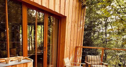 « La grange dans les arbres» terrasse suspendue et bain nordique sous les arbres