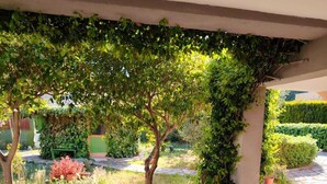 A stone-paved patio with a pergola covered in greenery, potted plants, and a well-maintained garden. - Casa Vacanze Audrey - Porto Azzurro (Porto Azzurro)