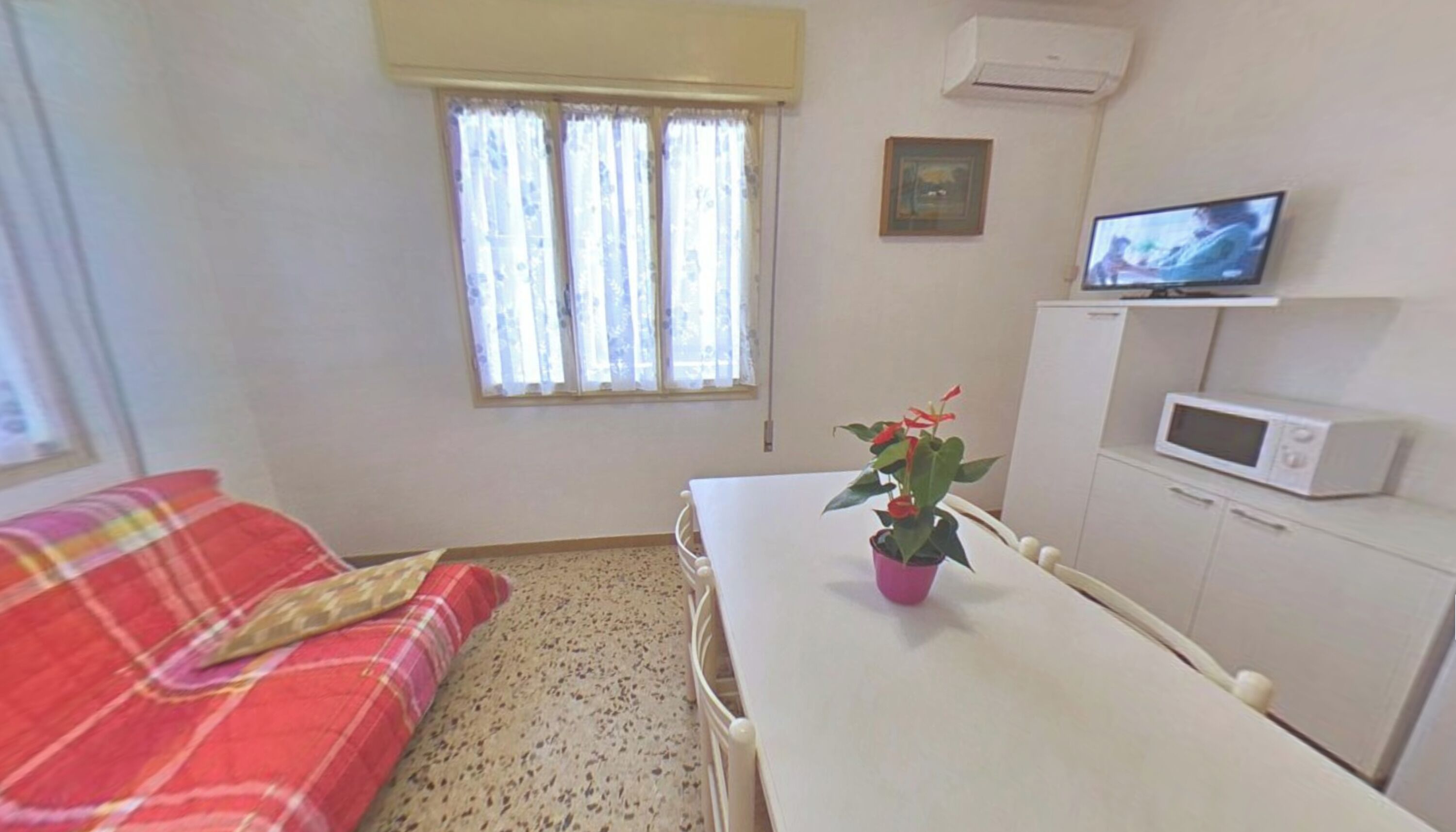 A room with a bed, a table with a potted plant, a television, and a microwave.