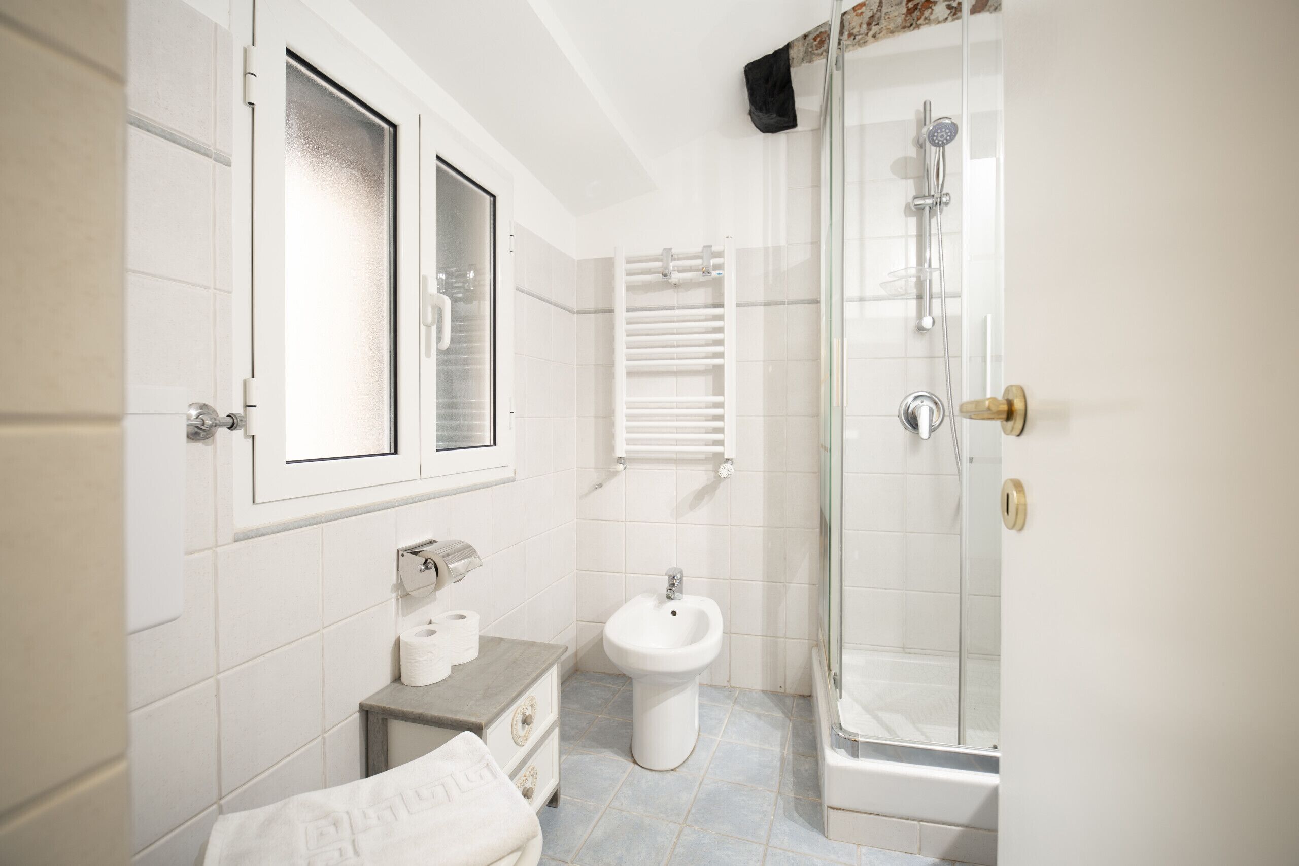 Shower, hair dryer, bidet, towels