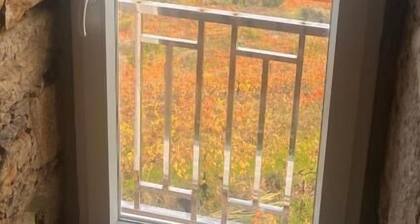 Cozy House With Douro View