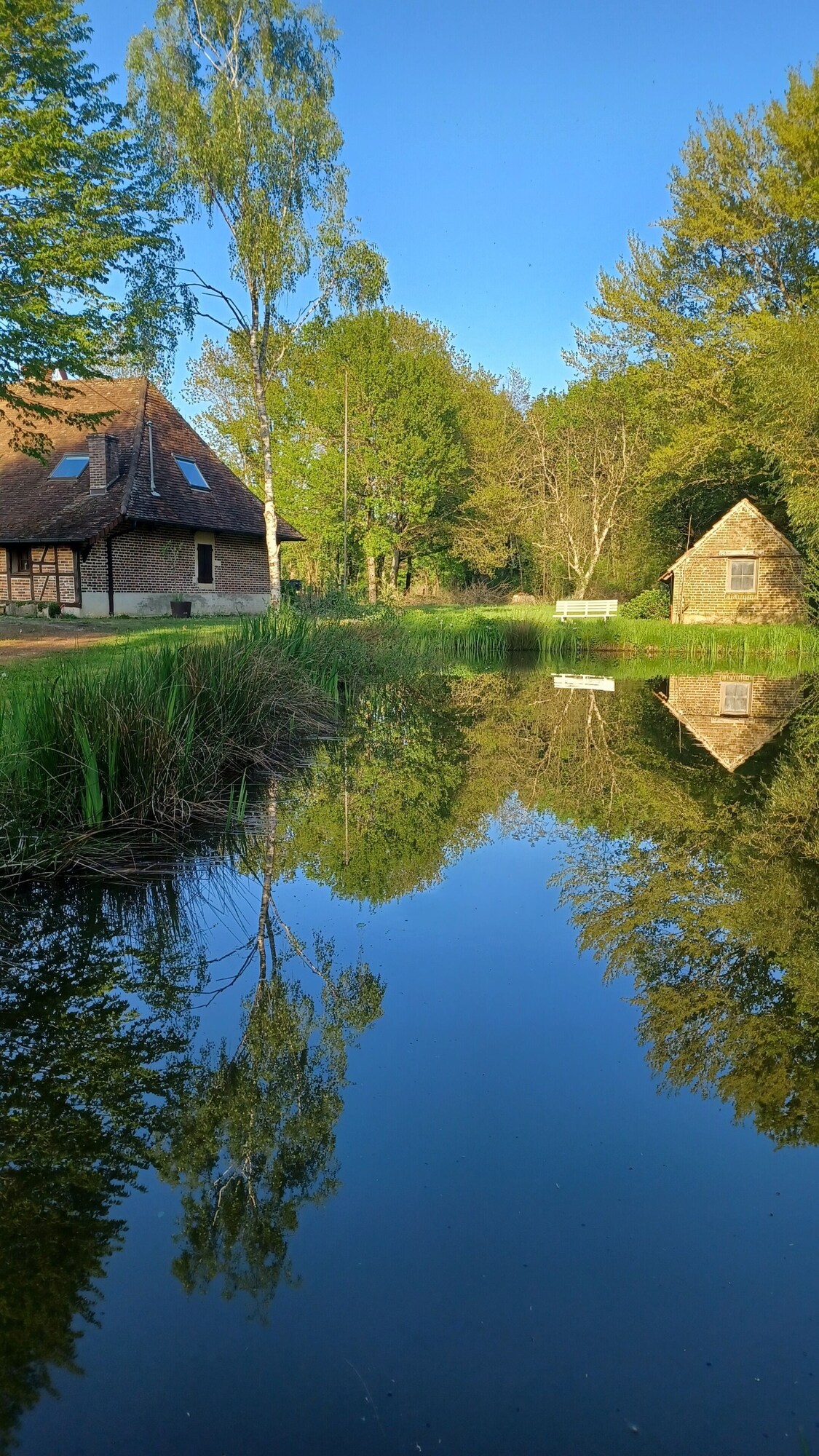Image de profil de l’hôte