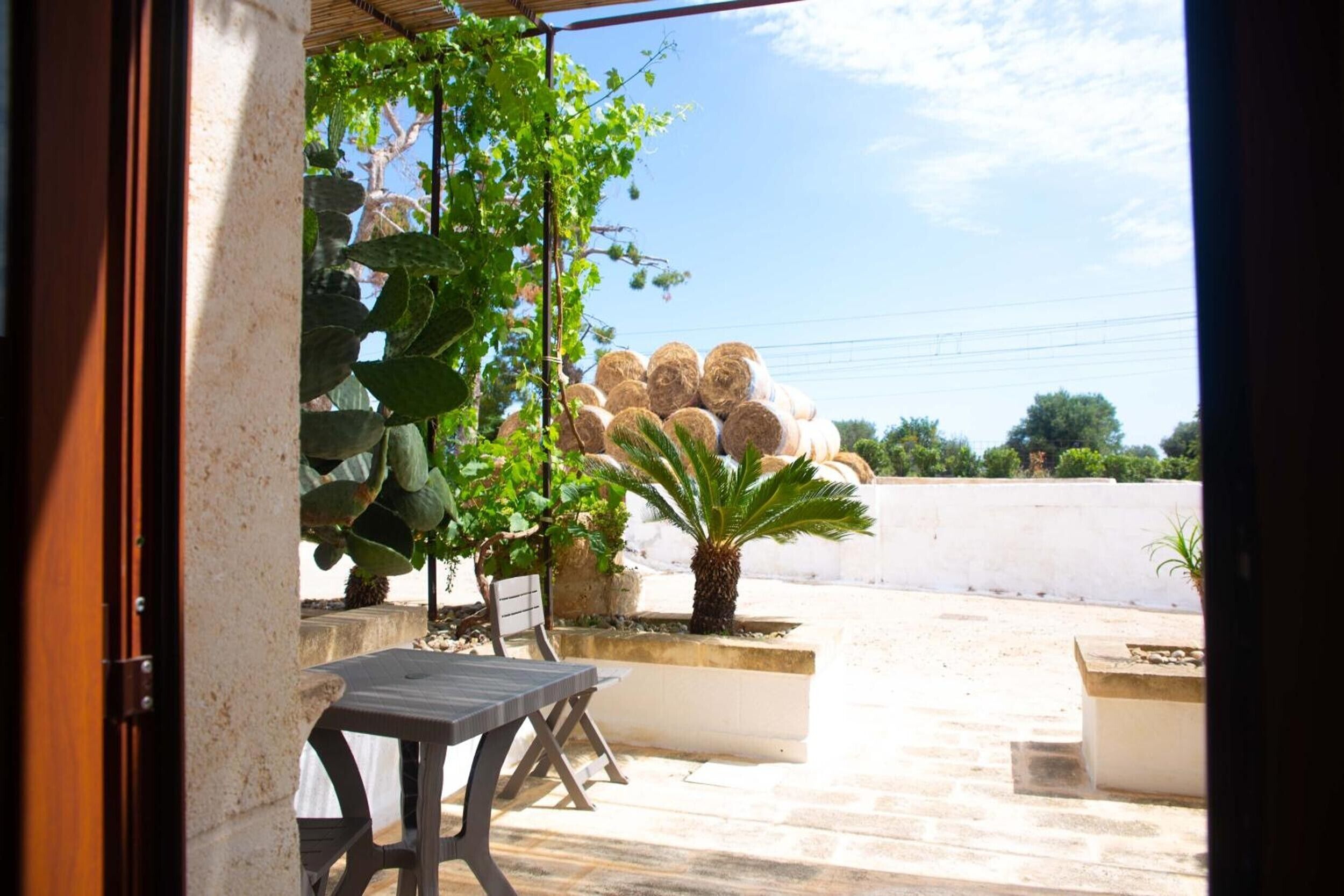 屋外ダイニングエリア