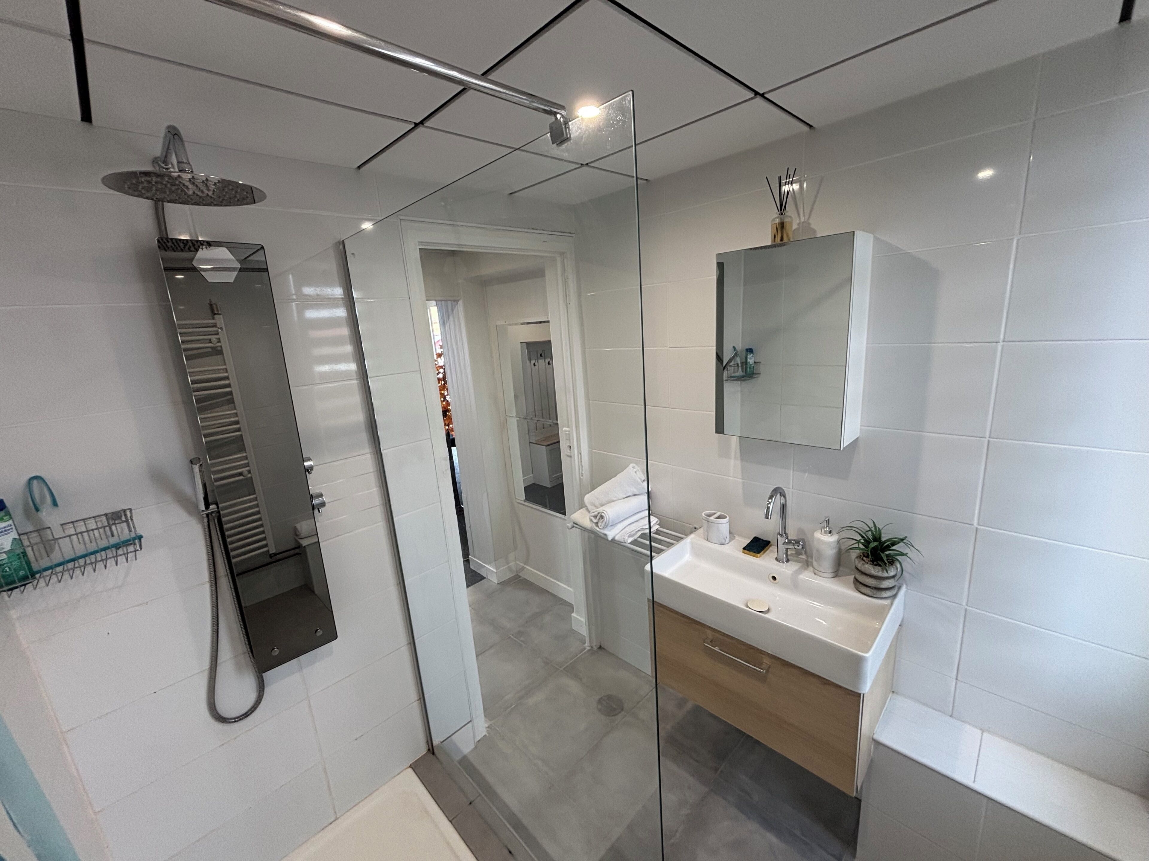 A modern bathroom with a glass shower enclosure, a white sink, and a mirror above it.