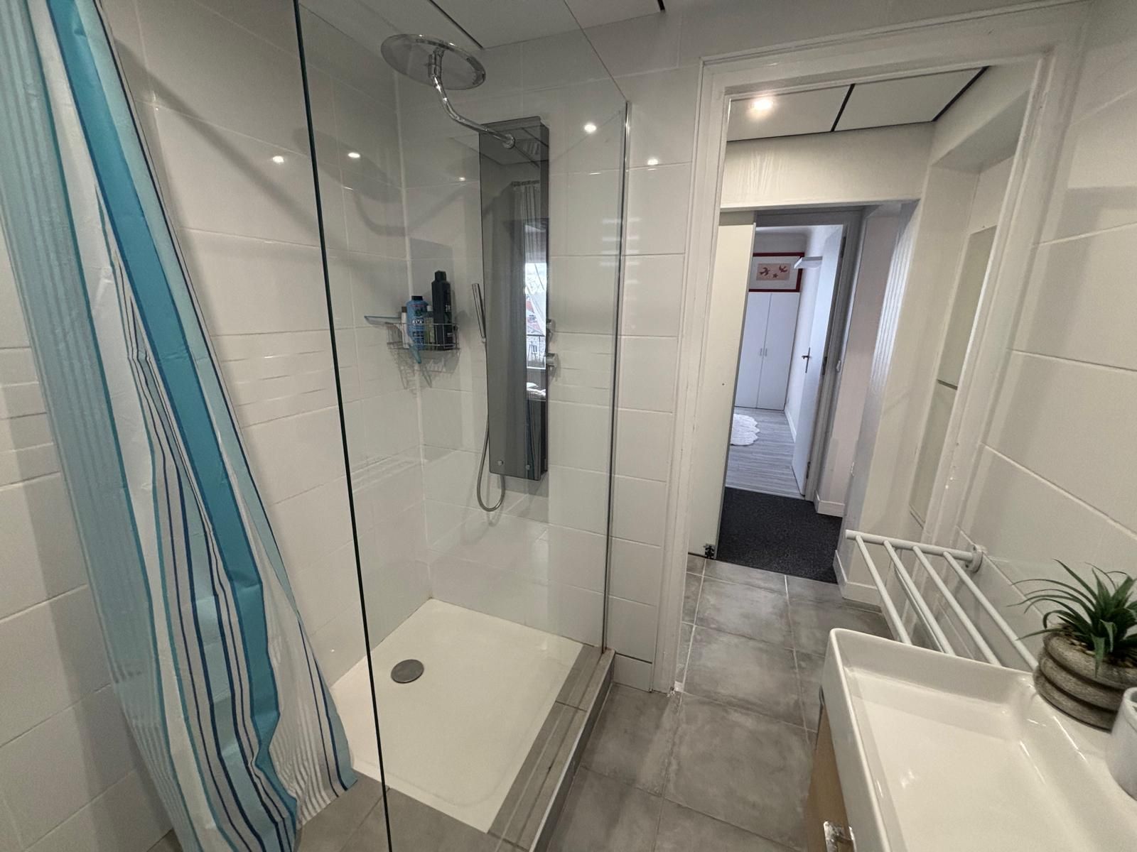 A modern bathroom with a glass shower enclosure, a white sink, and a small potted plant.