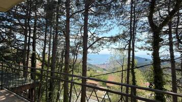 Classic House | Property grounds