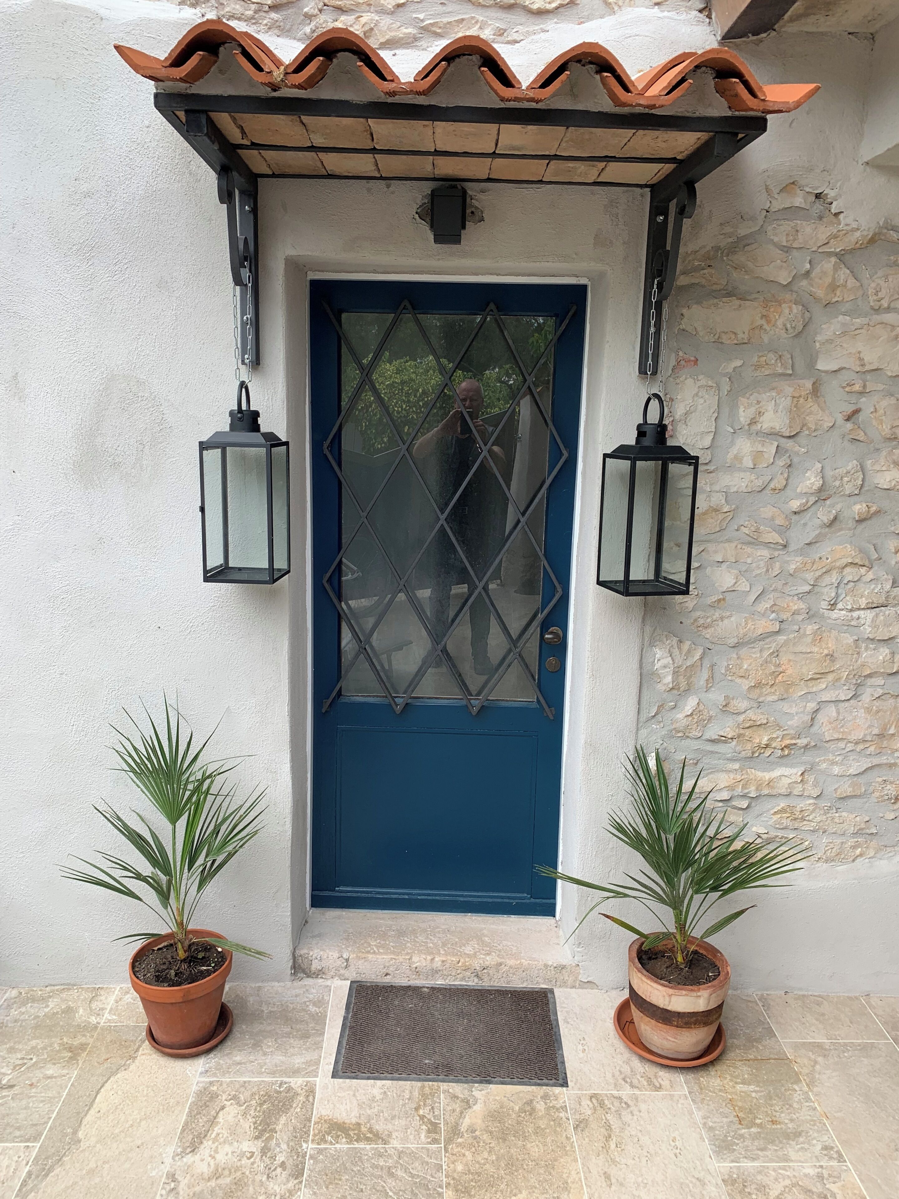 A blue door with a metal grille, flanked by two potted plants, and a stone wall to the right.
