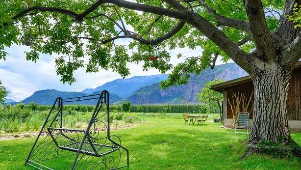 Un espacio al aire libre con césped, un columpio de metal, un banco de madera y un árbol.