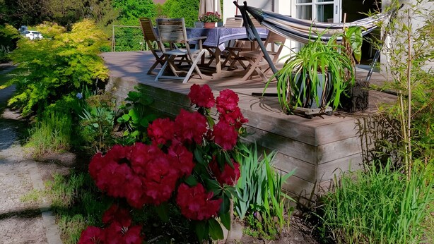 A house with a patio, a hammock, and a garden with red flowers.