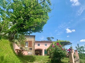 Exterior - Apartment in farmhouse, nestled in olive grove, 15 minutes from Lucca (Capannori)