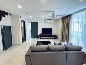 TV