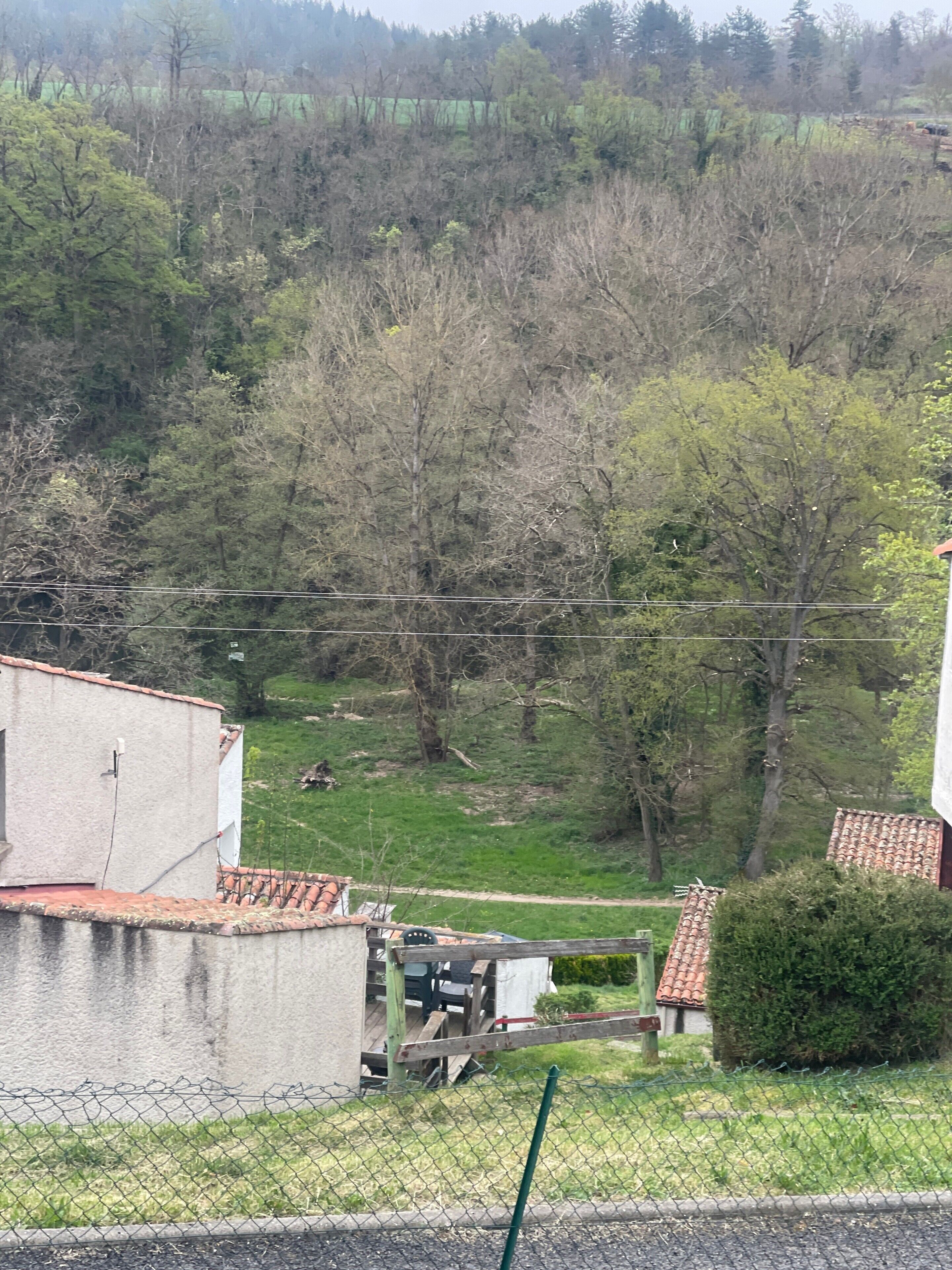 A residential area with houses, a fence, and a view of a forested hill.