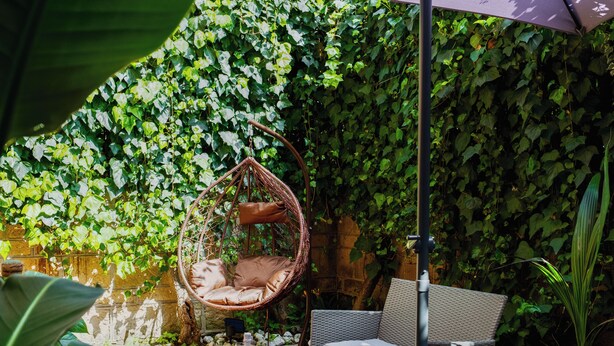 A wicker chair hanging from a tree, a wicker sofa, and a table with a bottle and glasses. - Artistic Oasis in Vatican (Roma)