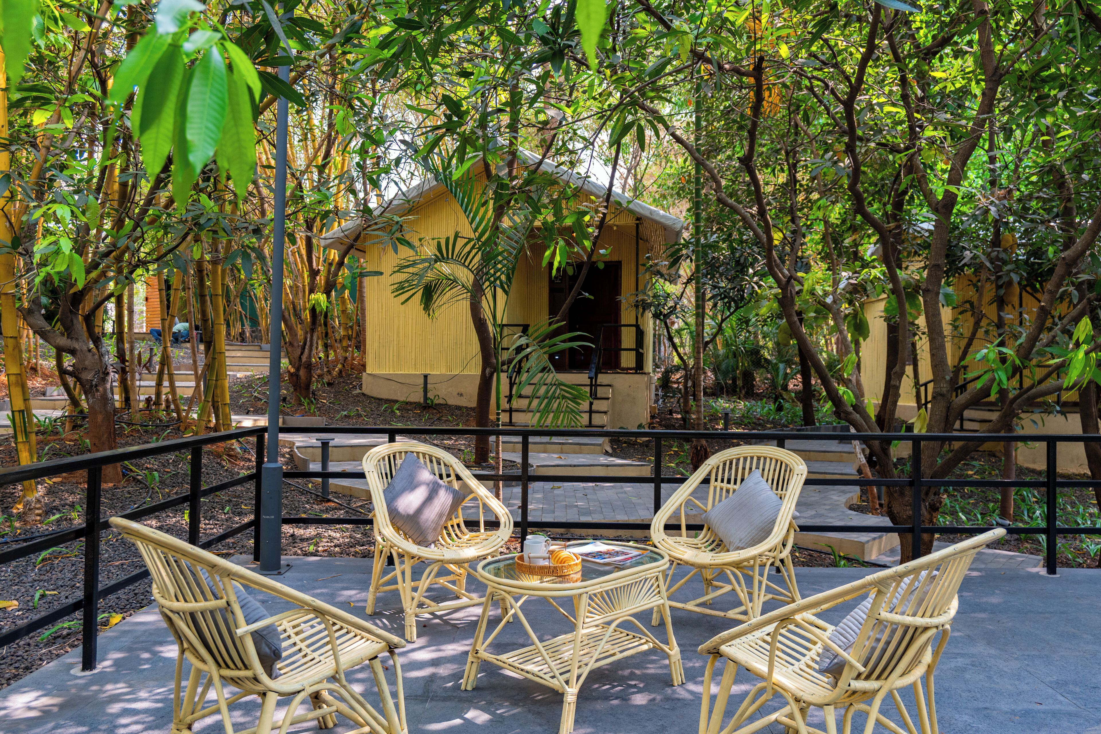 Terrasse/patio