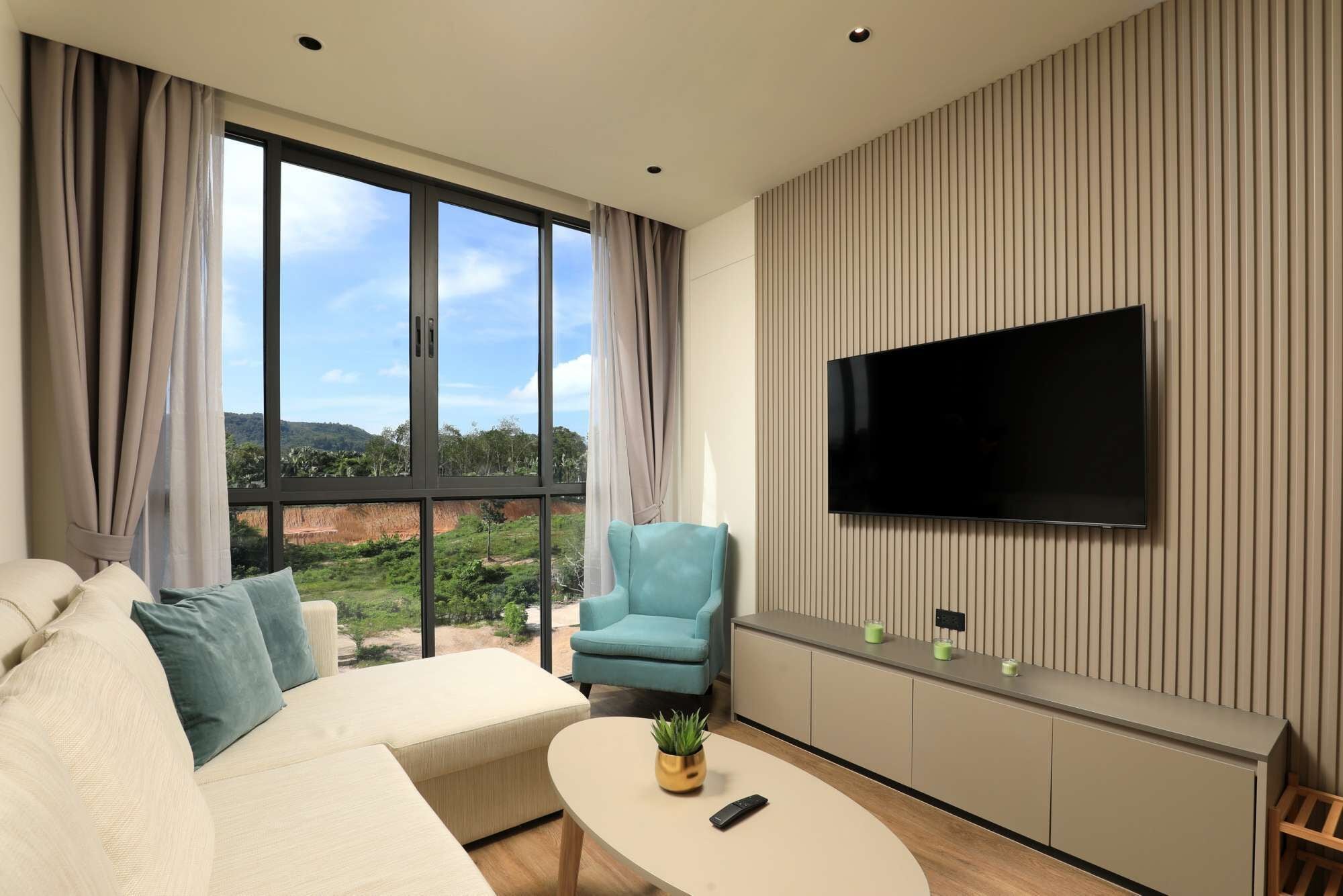 TV