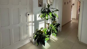 Ein Flur mit einer weißen Tür, einem Blumentopf und einem Hut an der Wand.