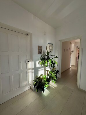 Interior - Cozy apartment 5 minutes from the center of Sant'Agata sui due Golfi. (Massa Lubrense)