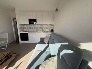 Ein kompakter Wohnbereich mit einer Küchenzeile, einem Sofa und einem Sessel.