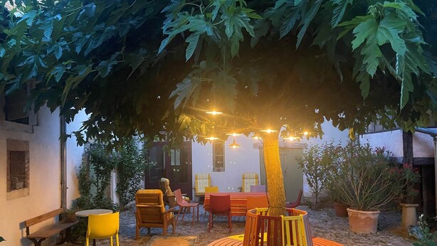 Un área de estar al aire libre con mesas y sillas, rodeada de plantas en macetas y un árbol.