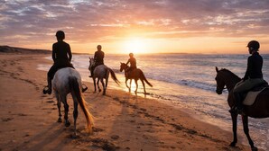 Una playa con jinetes a caballo.