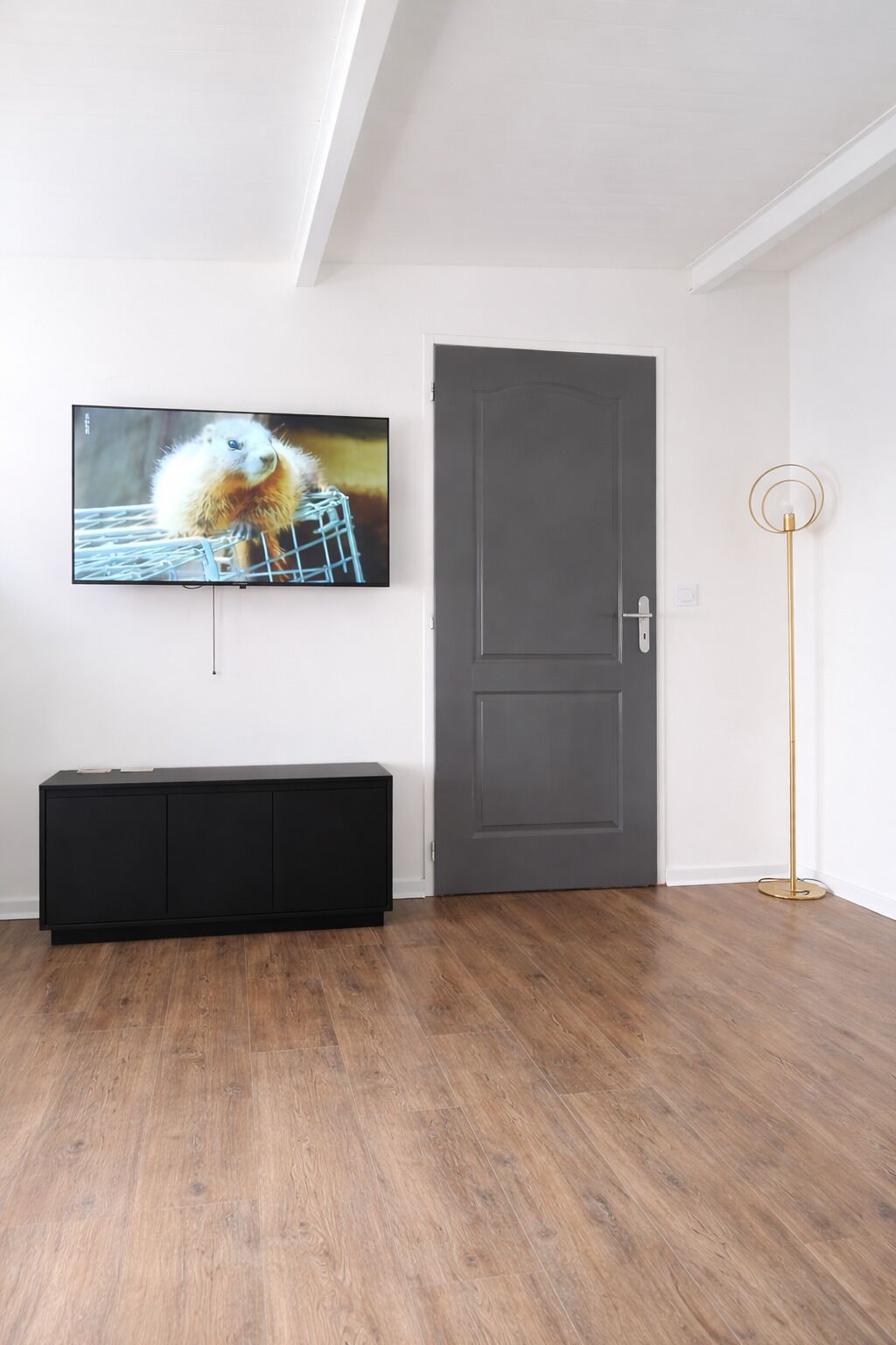 Een kamer met een donkergrijze deur, een zwarte entertainmentkast en een vloerlamp.