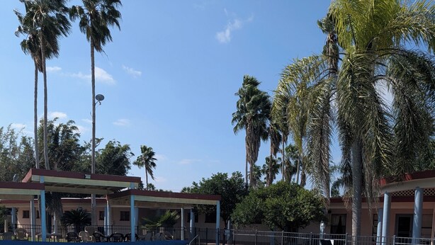Una piscina con borde de ladrillo, sillas de descanso y palmeras al fondo.