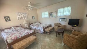 Habitación de hotel con una cama, dos sillas, una mesita, televisión y ventilador de techo.