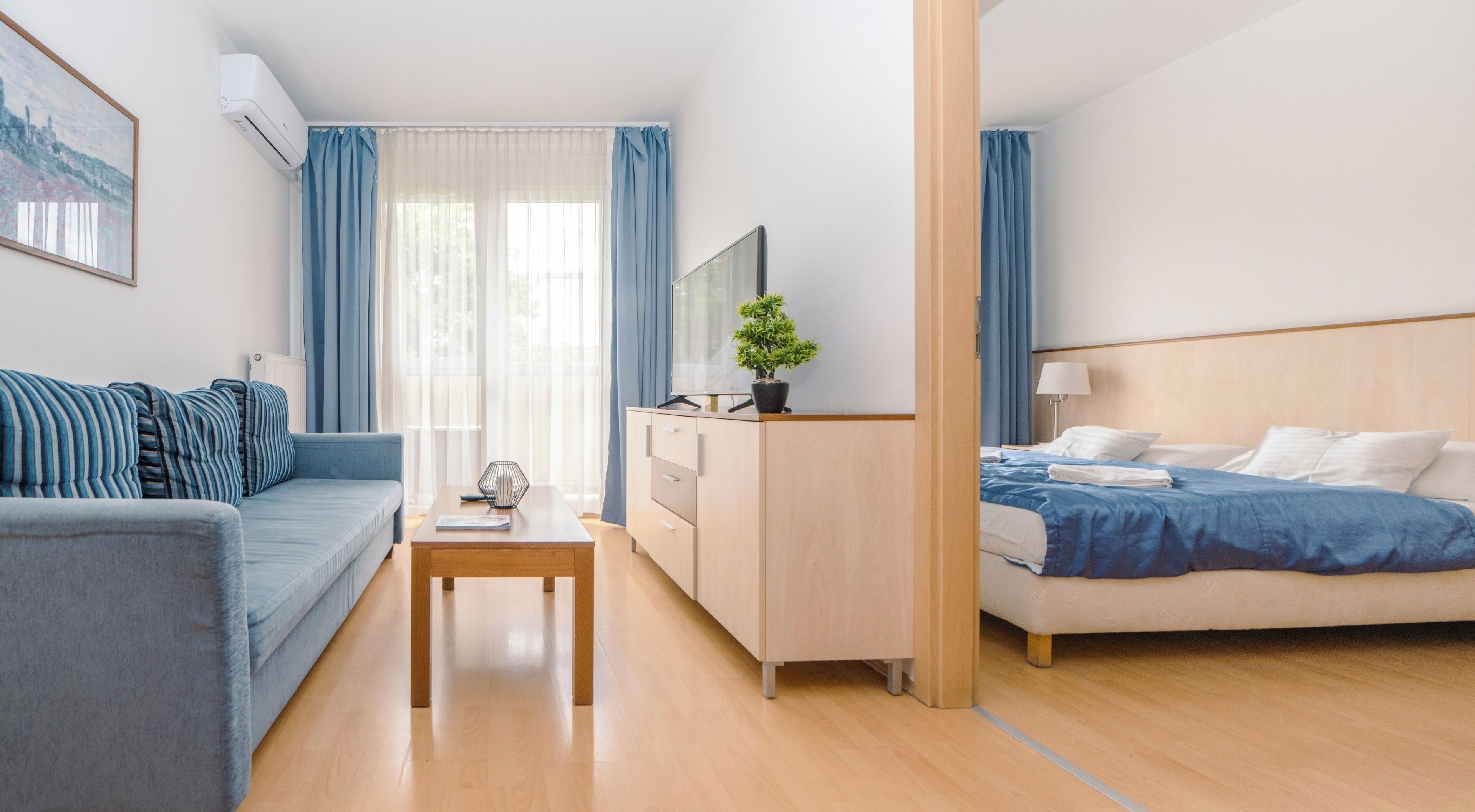 A modern hotel room with a sofa, a bed, a TV, a desk, and a potted plant.