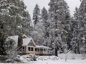 A house surrounded by snow-covered trees.