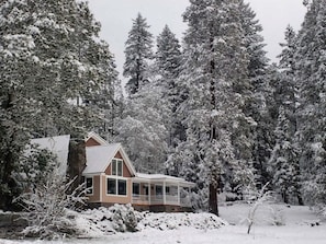 A house surrounded by snow-covered trees.