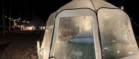 Una carpa con el logo de Coleman, rodeada de árboles y un suelo cubierto de hojas.