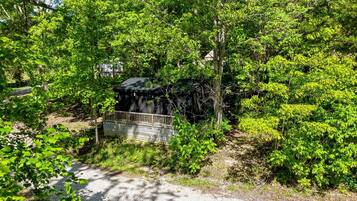 A gravel path leading to a wooden bridge over a small water feature, surrounded by dense green foliage.
