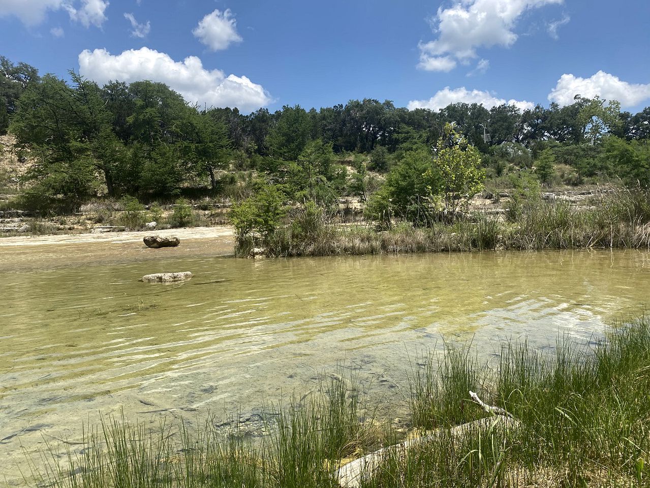 Paisaje natural con un cuerpo de agua transparente, rodeado de árboles y vegetación.