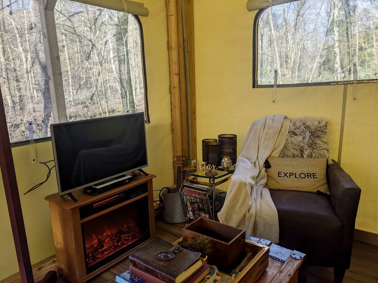 TV, fireplace, DVD player, video library