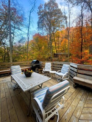 Outdoor dining - Cozy Rustic Cabin Nestled in the Scenic Reems Creek Valley for a Peaceful Mountain Escape Surrounded by Nature near the Pisgah National Forest in NC (Weaverville)