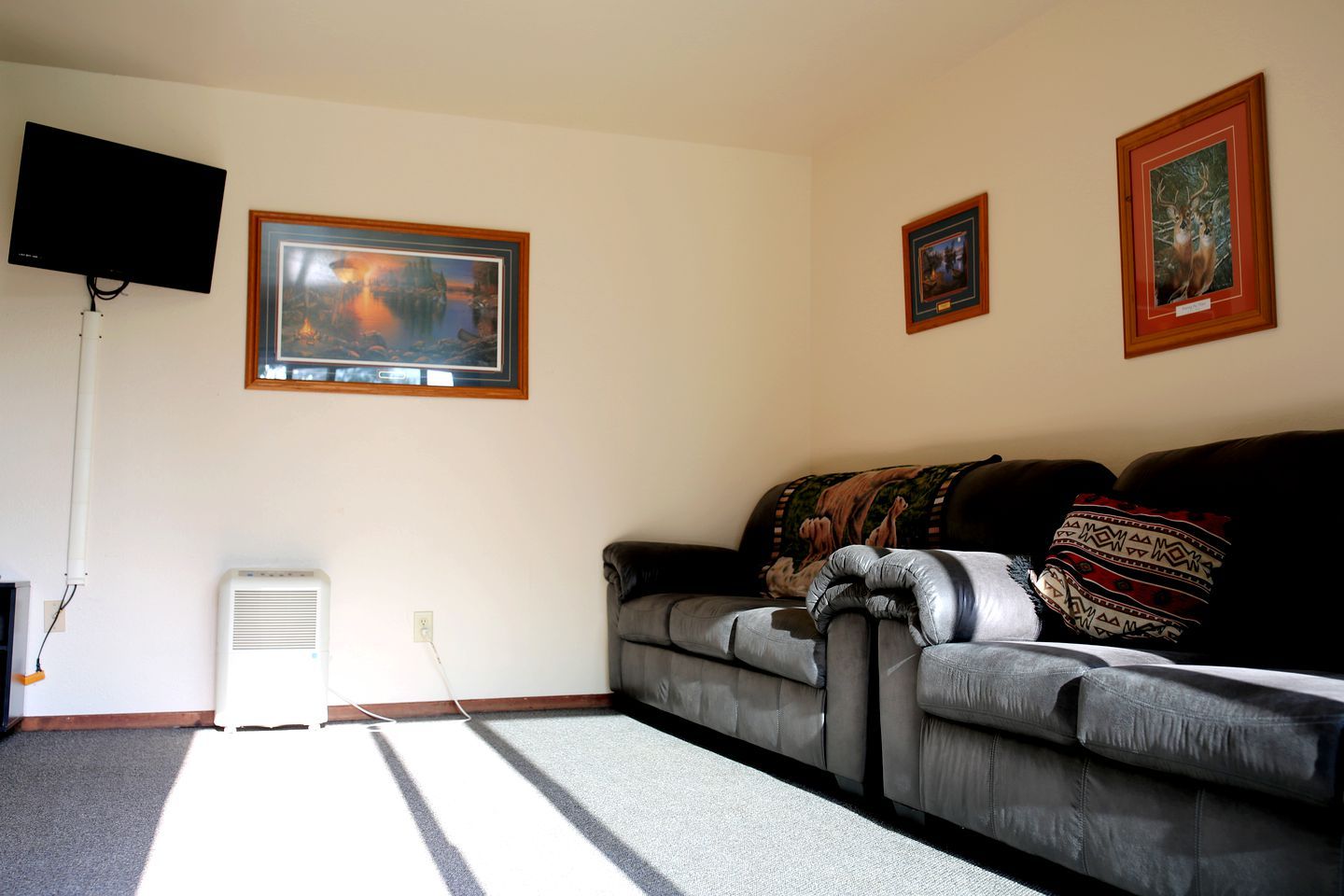 A living room with a grey sofa, a mounted TV, and two framed pictures on the wall.
