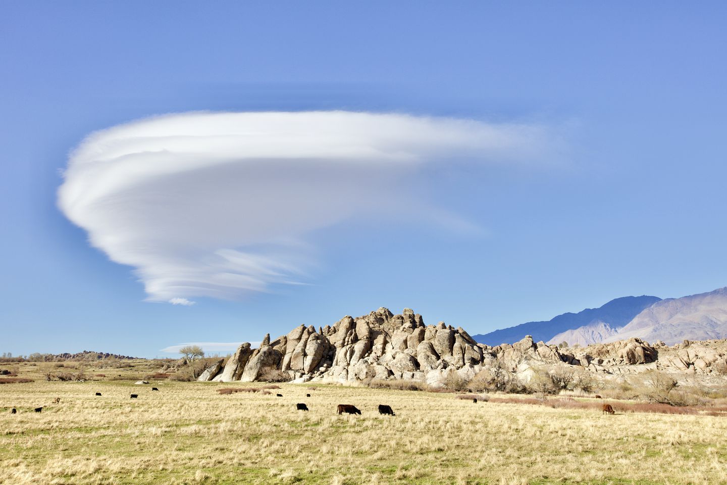A landscape with a rock formation and grazing cattle.