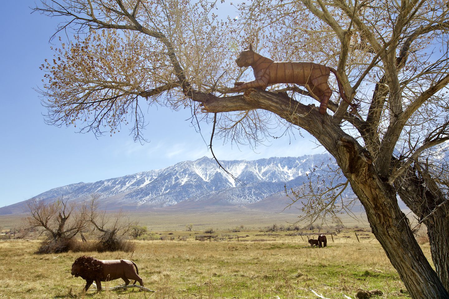 A tree with a sculpture of a lion on it, a lion in the foreground, and a mountainous landscape in the background.