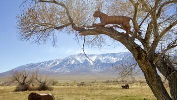 A tree with a sculpture of a lion on it, a lion in the foreground, and a mountainous landscape in the background.